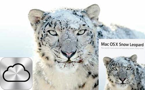 Zdobądź Snow Leoparda