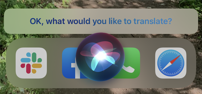 Poproś Siri o przetłumaczenie