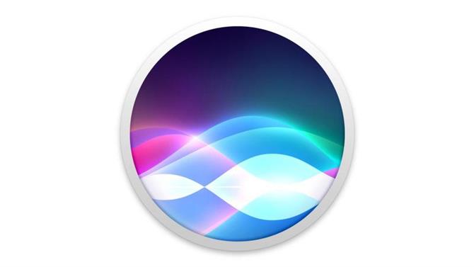 Jak usunąć historię i dane Siri