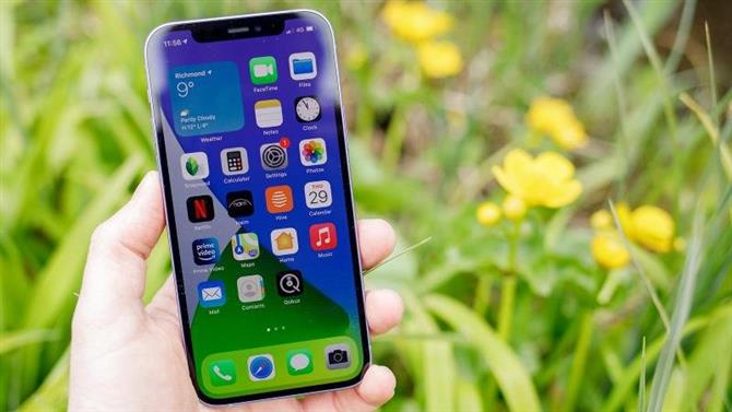 Jak zrobić zdjęcie makro na iPhonie i iPadzie