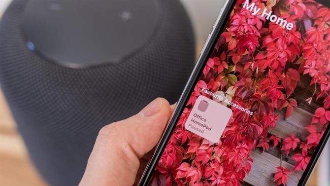 Oprogramowanie HomePod: jak zaktualizować i uzyskać nowe funkcje